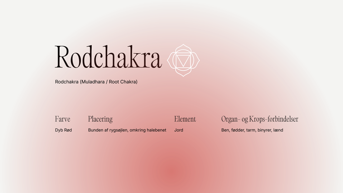 Rodchakra (Muladhara): grounding, tryghed og ro i kroppen