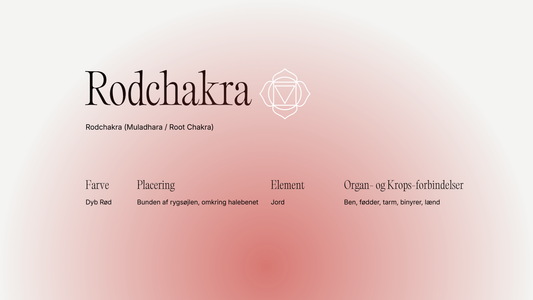 Rodchakra (Muladhara): grounding, tryghed og ro i kroppen