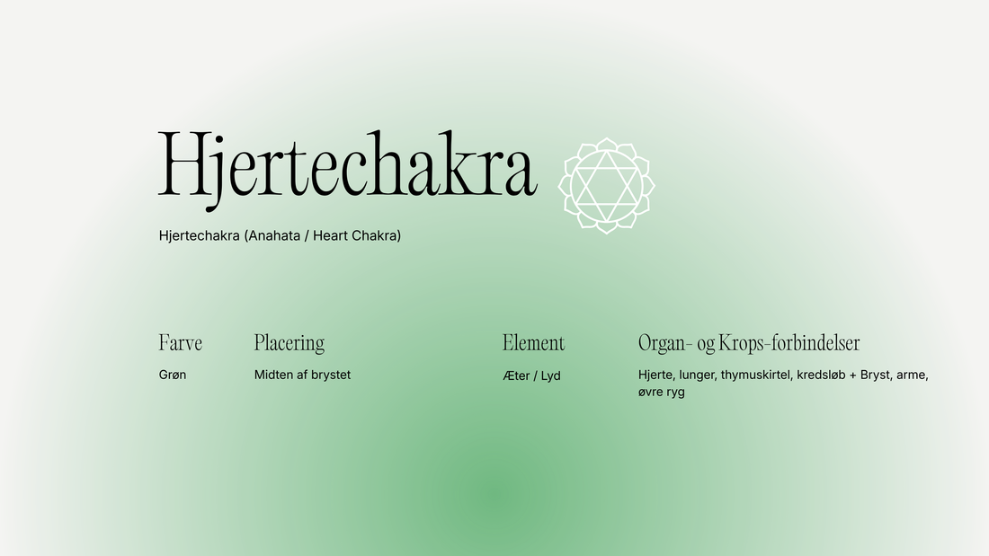Hjertechakra (Anahata): forbindelse, sårbarhed og healing af følelsesmæssige lag
